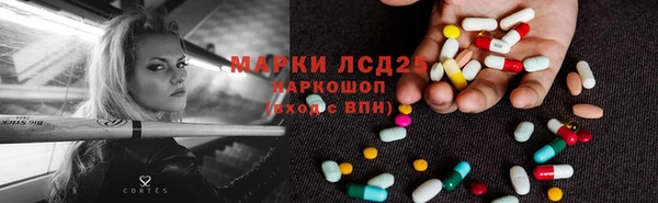 ешки Горняк