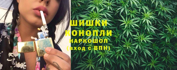 ешки Горняк
