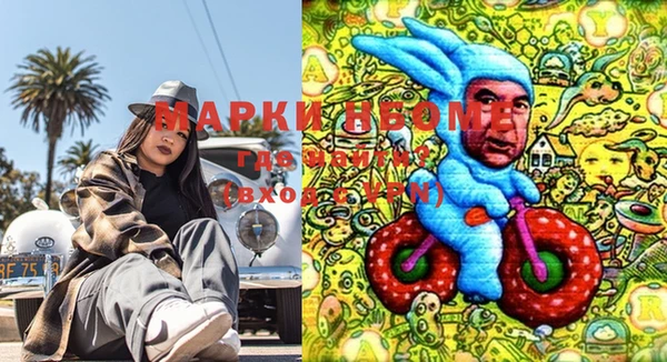 ешки Горняк