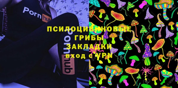 ешки Горняк