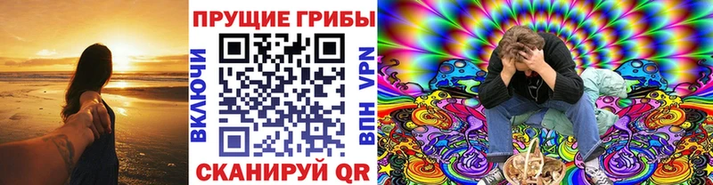 Купить  Пудож  Галлюциногенные грибы Psilocybine cubensis 